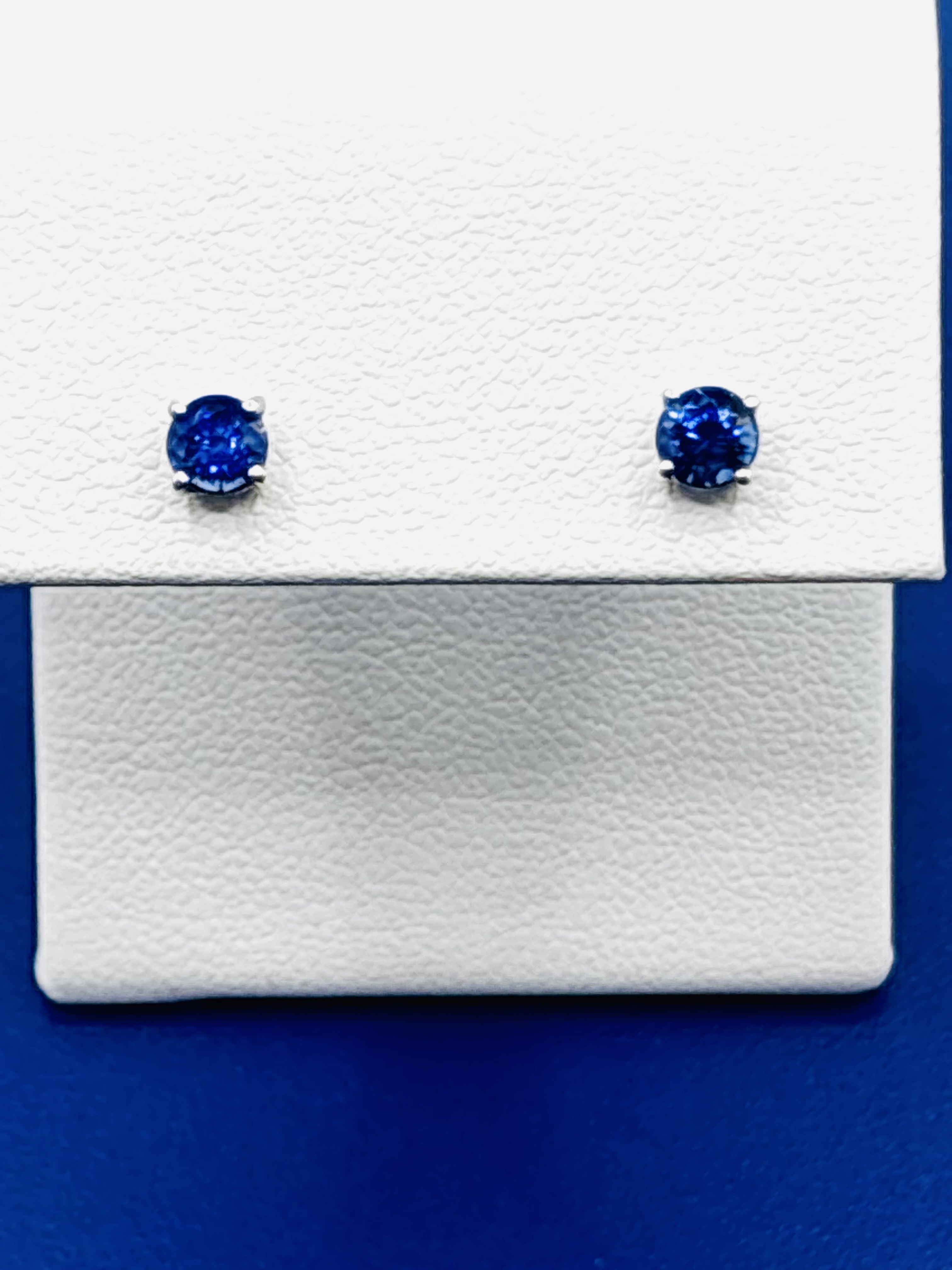 Ceylon Sapphire Studs